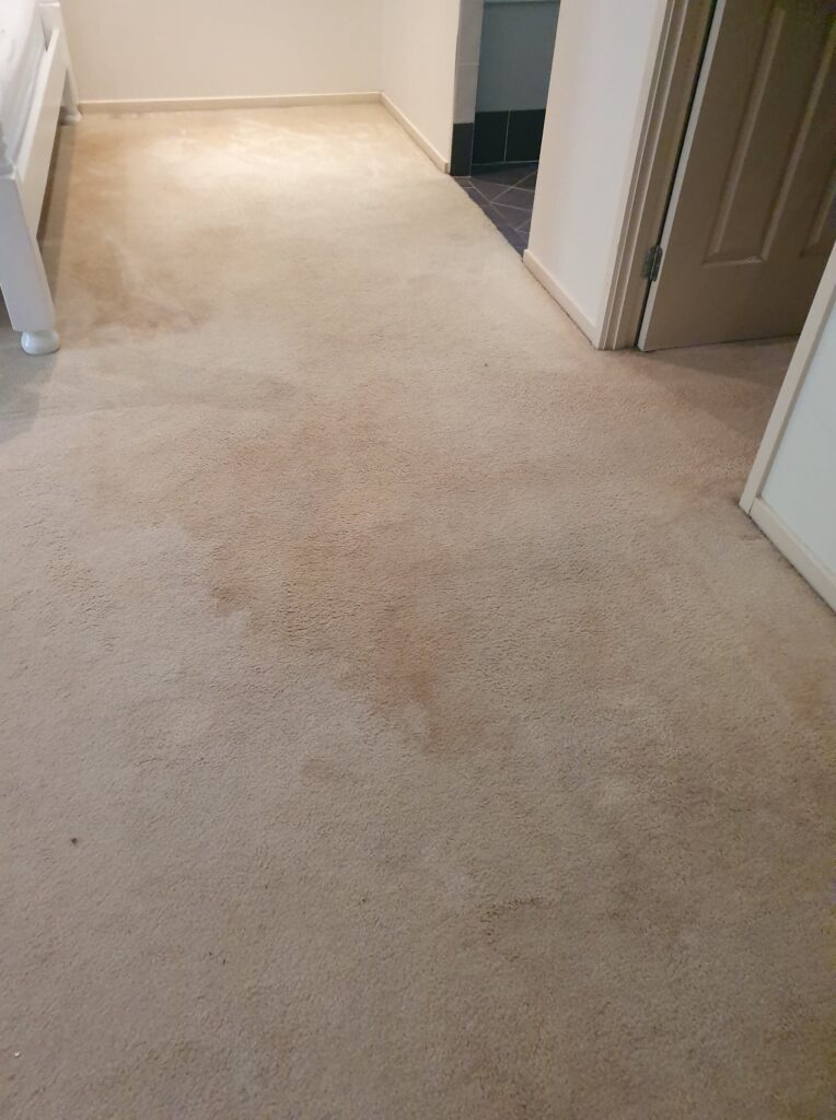 Carpet Cleaning Cedar Creek Bedroom Before