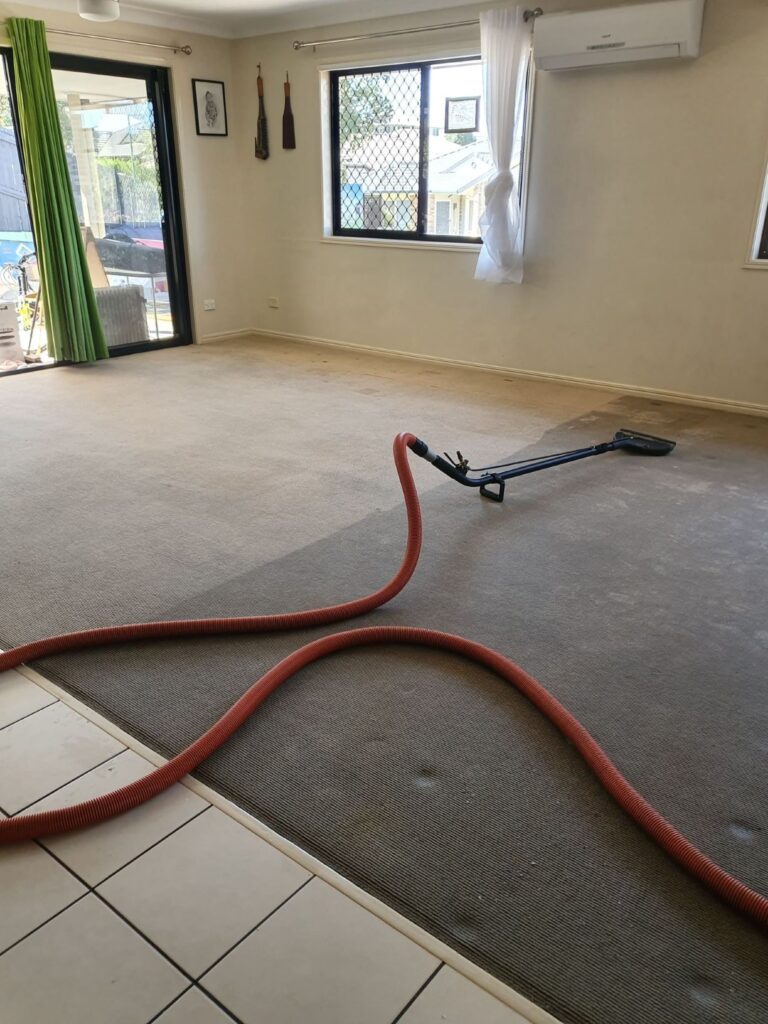 Carpet Cleaning Water Extraction Parkinson