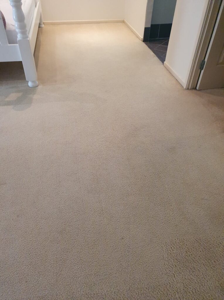 Carpet Cleaning Logan Bedroom After